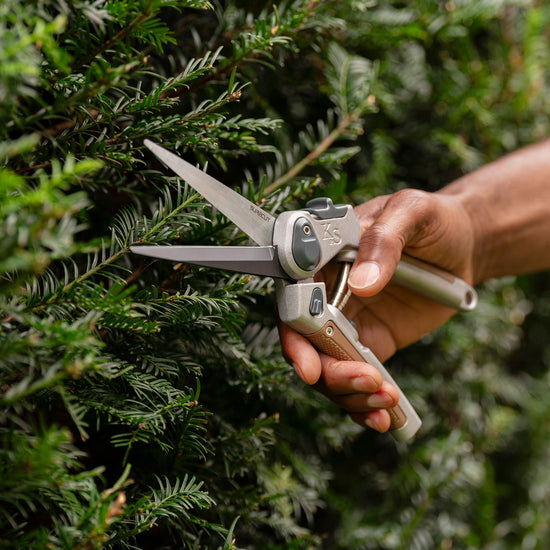 Kent & Stowe SureCut Perennial Snips cutting tree bush