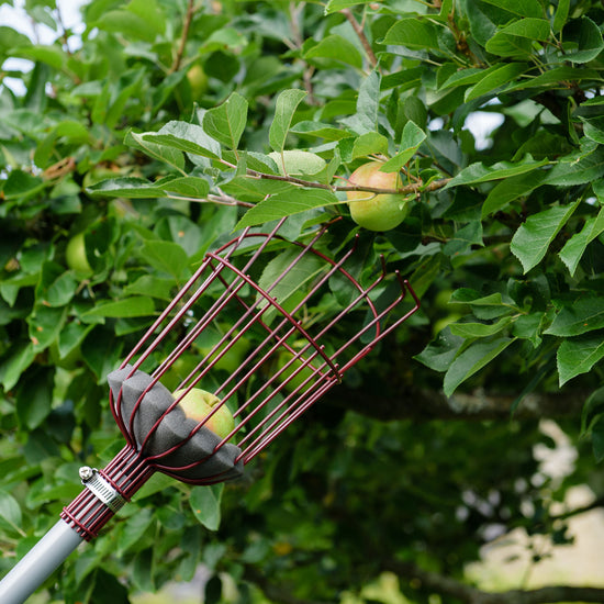 Kent & Stowe Telescopic Fruit Picker close up