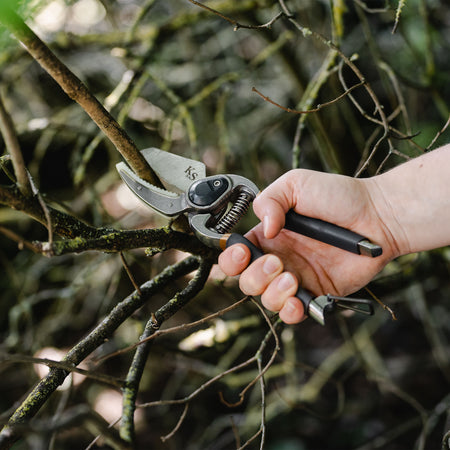 Kent & Stowe Traditional Hard Wood Secateurs